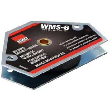 WMS-6